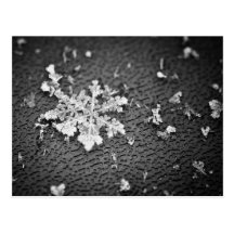 Floco de neve cartao postal