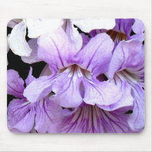 Flor #13 mousepads