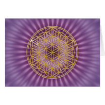 Flor a vida | pequena violet shine cartao