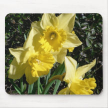 Flor amarela do Daffodil Mousepad