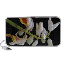Flor branca caixinhas de som para mini