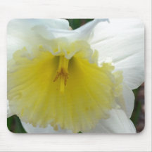 Flor branca do Daffodil Mousepad
