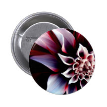 Flor colorida boton