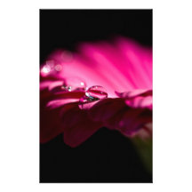 flor cor-de-rosa papéis personalizados