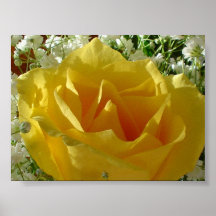Flor da graduação poster