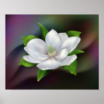 Flor da magnólia posteres