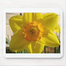flor, daffodil mousepads