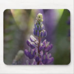 Flor do cone mouse pad