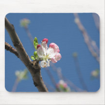 Flor do primavera mouse pads