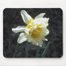 Flor dobro Mousepad do Daffodil