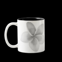FLOR DOK CHAMPA DO LAO - PLUMERIA canegas