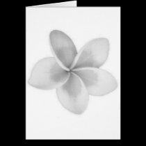 FLOR DOK CHAMPA DO LAO - PLUMERIA postais