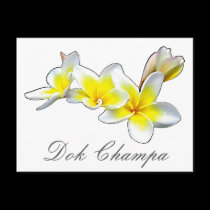FLOR DOK CHAMPA DO LAO - PLUMERIA RUBRA cartées postais