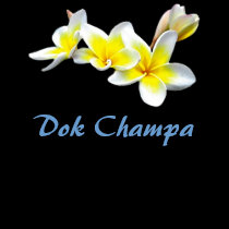 FLOR DOK CHAMPA DO LAO - PLUMERIA RUBRA t - shirts