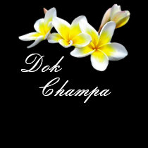 FLOR DOK CHAMPA DO LAO - PLUMERIA RUBRA t - shirts