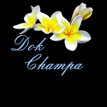 FLOR DOK CHAMPA DO LAO - PLUMERIA RUBRA t - shirts