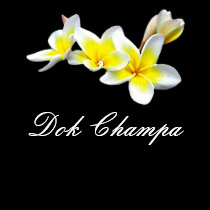 FLOR DOK CHAMPA DO LAO - PLUMERIA RUBRA t - shirts