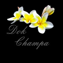 FLOR DOK CHAMPA DO LAO - PLUMERIA RUBRA t - shirts