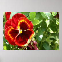 Flor Impressão
