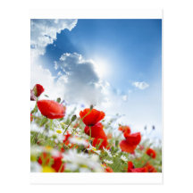 Flor roja postales