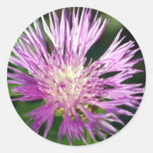 Flor roxa adesivo