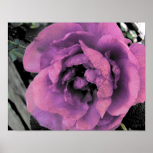 Flor roxa posteres