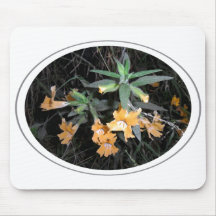 Flor selvagem de Temescal Mouse Pad