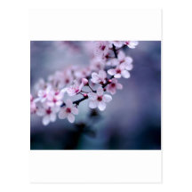 flor tarjetas postales
