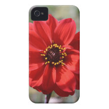 Flor vermelha capa iPhone 4 Case-Mate