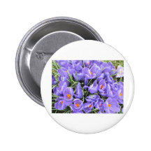 FLORAL BONITO BOTONS