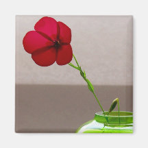 Floral vermelho ima
