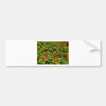 Flores Adesivos