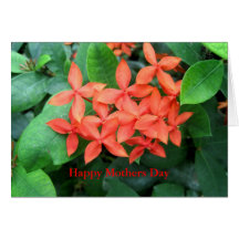 Flores alaranjadas, feliz dia das mães cartoes