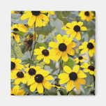 Flores amarelas dos Wildflowers da luz do sol Imas
