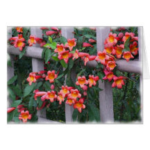Flores ao longo da cerca cartoes