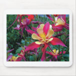 flores bonitas da cor mouse pad