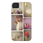 Flores capas casemate