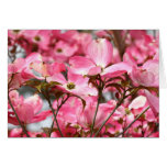 flores cor-de-rosa cartão