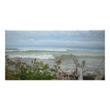 Flores da praia cartoes com foto