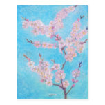 Flores de Apple Cartoes Postais