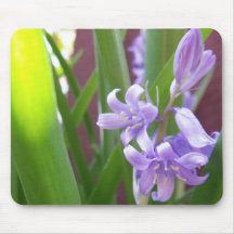Flores de Bell roxas lindos Mouse Pads