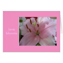 flores do amor cartoes