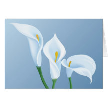 Flores do Calla Cartao