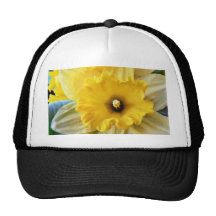 Flores do Daffodil Bones
