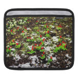 Flores do inverno bolsa para iPad