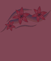 Flores do lírio t-shirts