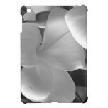 Flores do Plumeria em preto e branco