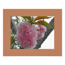 Flores do primavera no rosa foto arte