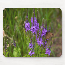 Flores e borboleta Mousepad