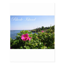Flores em Rhode - ilha Cartões Postais
